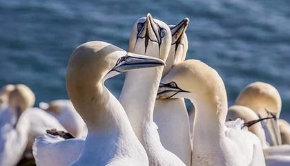 海峡股份：国金证券、绅徽投资等多家机构于11月13日调研我司