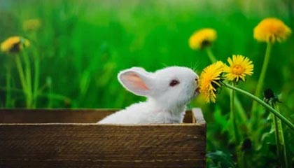 京蓝科技2021年年报解读:营收净利双降,多项费用大幅变动