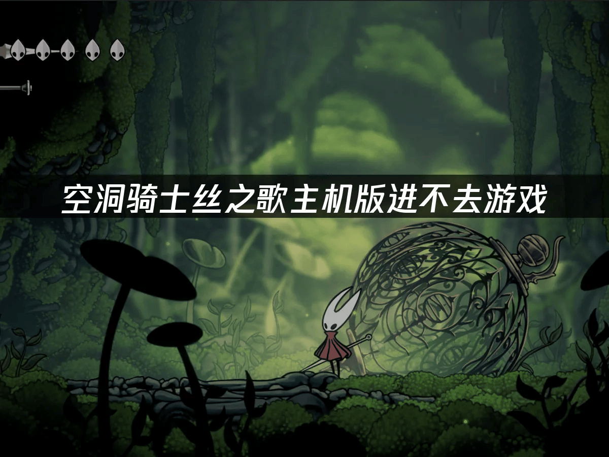 空洞骑士丝之歌主机版进不去游戏怎么办？
