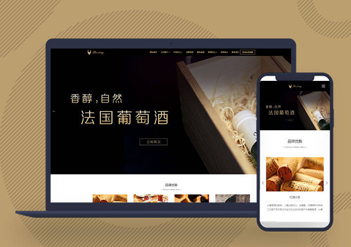 网站官网模板 网站制作网站建设 网站模板下载