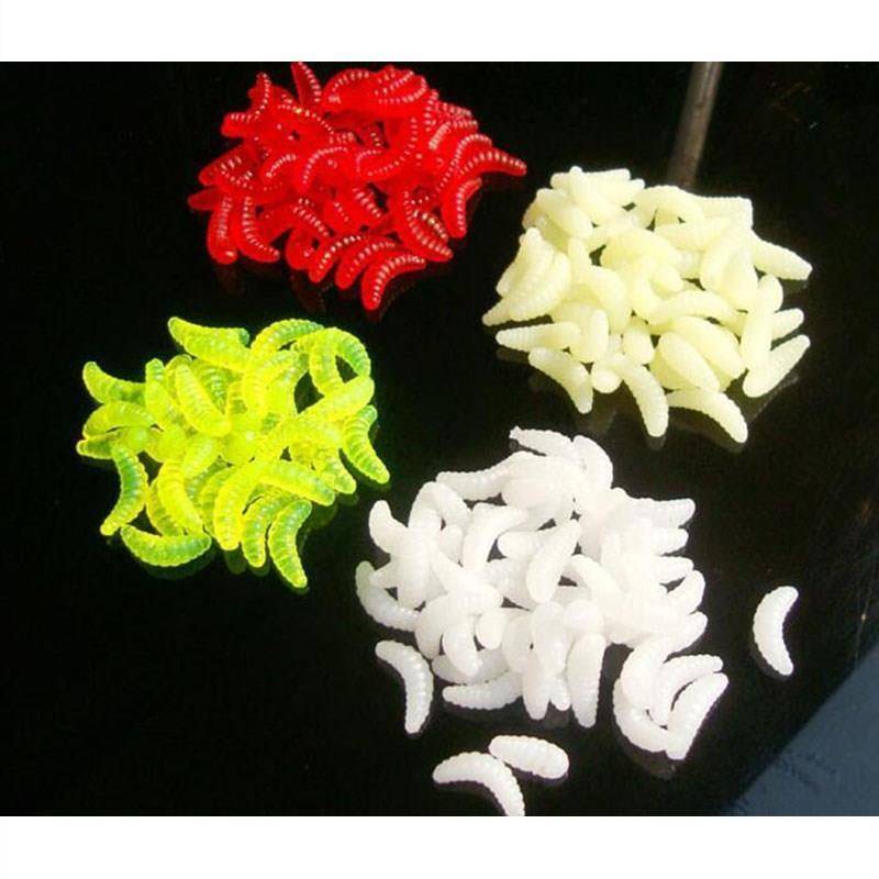 橙色的小虫子是什么虫子,你家有吗?快来看看吧!