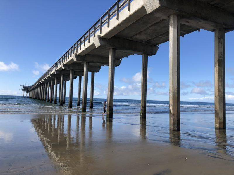 甲骨文一夜大涨，A股科技股会诞生出万亿美元市值公司吗？