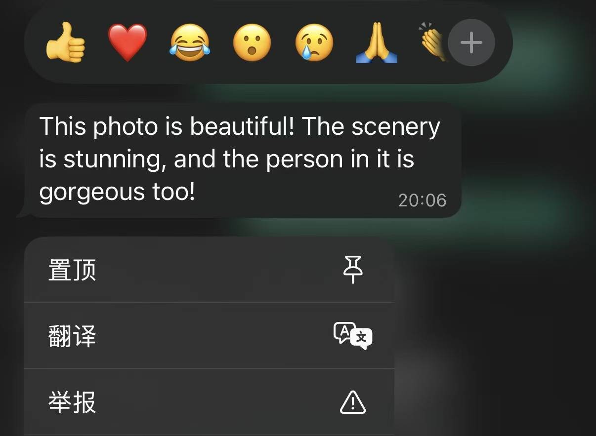 手机版whatsapp怎么翻译