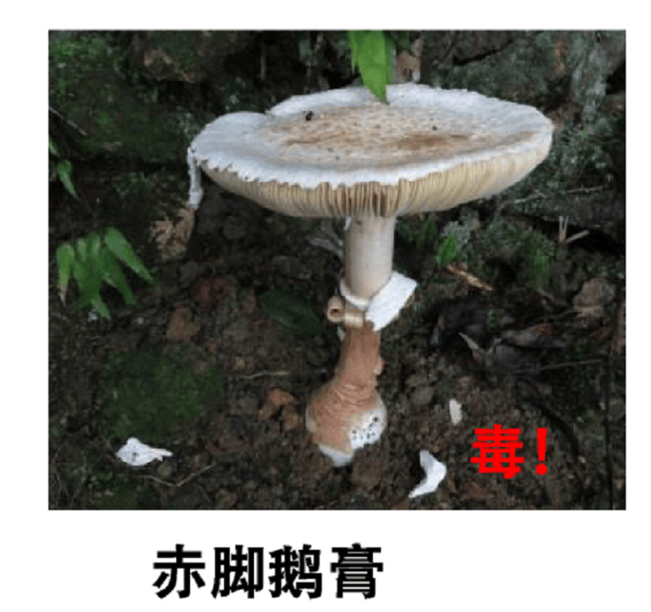 深圳一对夫妻深夜双双入院!一周内12人中招!近期很常见,千万别碰