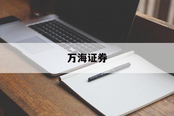 万海证券(万海证券怎么样)